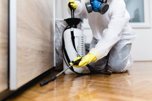 Professional Pest Control in Valinda, CA