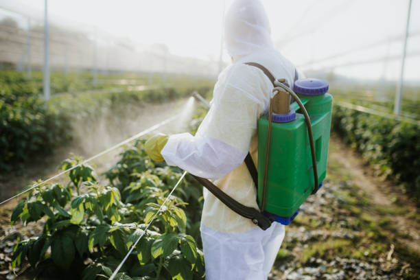  Valinda, CA Pest Control Pros
